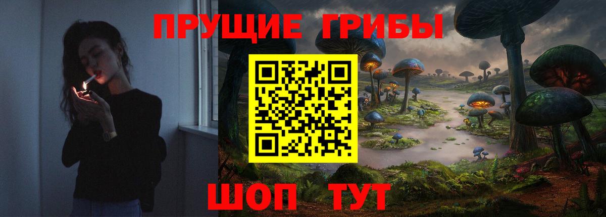 Псилоцибиновые грибы Psilocybine cubensis Саров